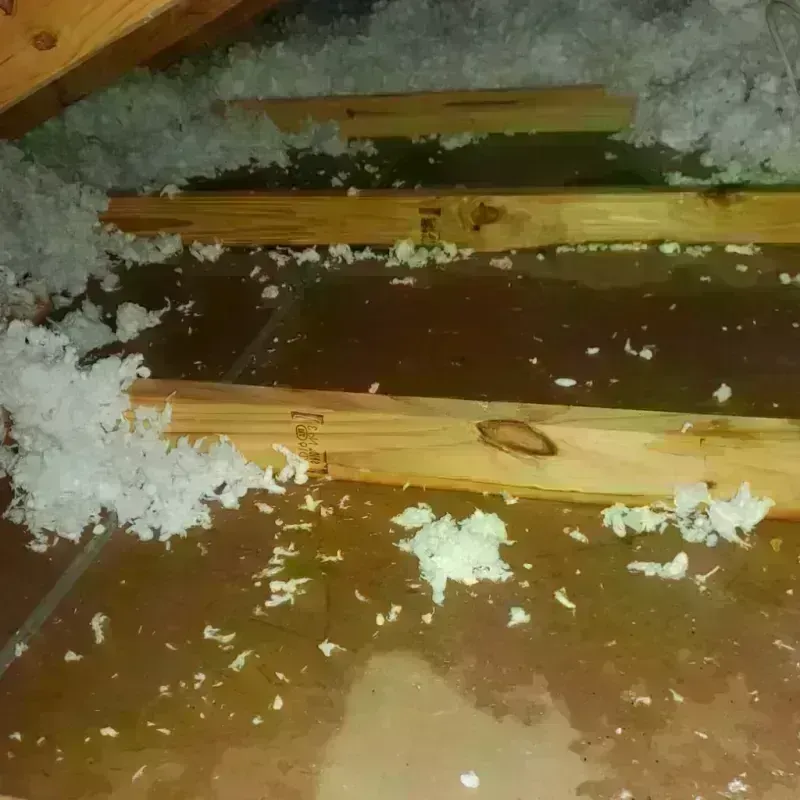 Attic Water Damage in Glen Ellyn, IL