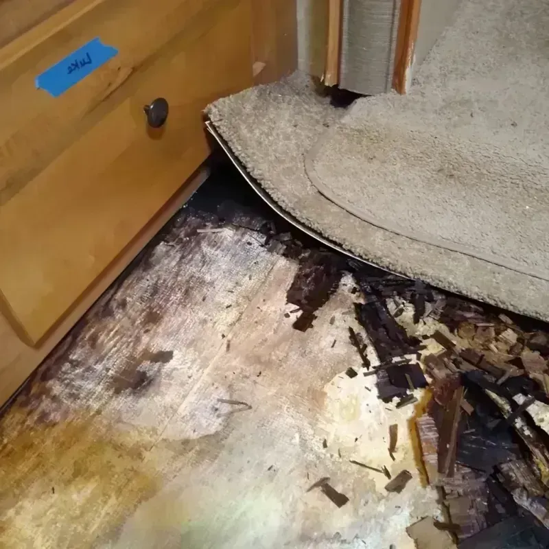 Wood Floor Water Damage in Glen Ellyn, IL